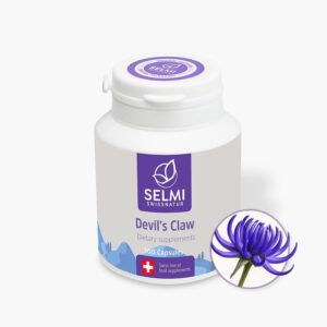 Devil's Claw – 100 capsules (1044906)