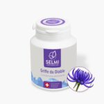 Griffe du Diable – 100 gélules (1044906)